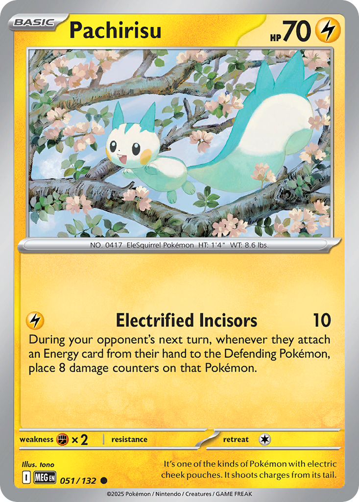 Pachirisu 51