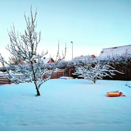 Photo by Daniel Bahl in Sallingsund Færgekro.