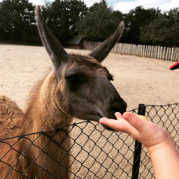 Photo by girafpingvin (Daniel Bahl)🦒️🐧️ in Torvehallerne KBH.