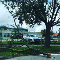 Photo by Daniel Bahl in IT-huset (Incuba Science Park).