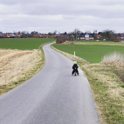 Photo by girafpingvin (Daniel Bahl)🦒️🐧️ in Copenhagen.