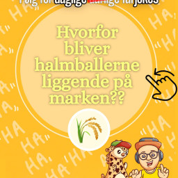 Coverbillede for blogindlæg