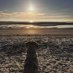 Photo by Daniel Bahl in Sallingsund Færgekro with @rikkelindebahl.