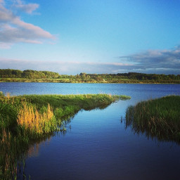 Photo by Daniel Bahl in Brabrand Søen.