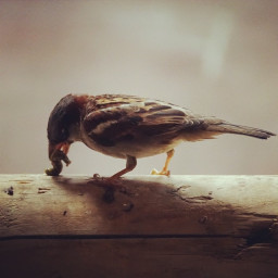 Photo by Daniel Bahl in Vejle Fjord Broen.