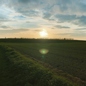 Photo by Daniel Bahl in Sorring, Arhus, Denmark.