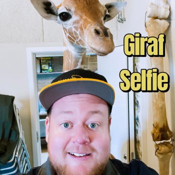 Photo by girafpingvin (Daniel Bahl)🦒️🐧️ in Odense ZOO.