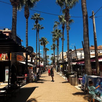 Photo by girafpingvin (Daniel Bahl)🦒️🐧️ on July 02, 2024. May be an image of palm trees and lamppost.