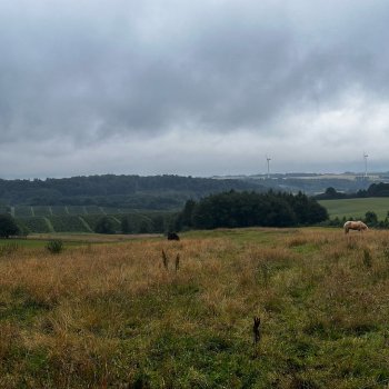 Photo by girafpingvin (Daniel Bahl)🦒️🐧️ on July 16, 2024. May be an image of silo, fog and grass.