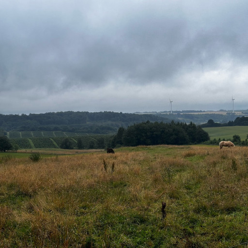 Photo by girafpingvin (Daniel Bahl)🦒️🐧️ on July 16, 2024. May be an image of silo, fog and grass.