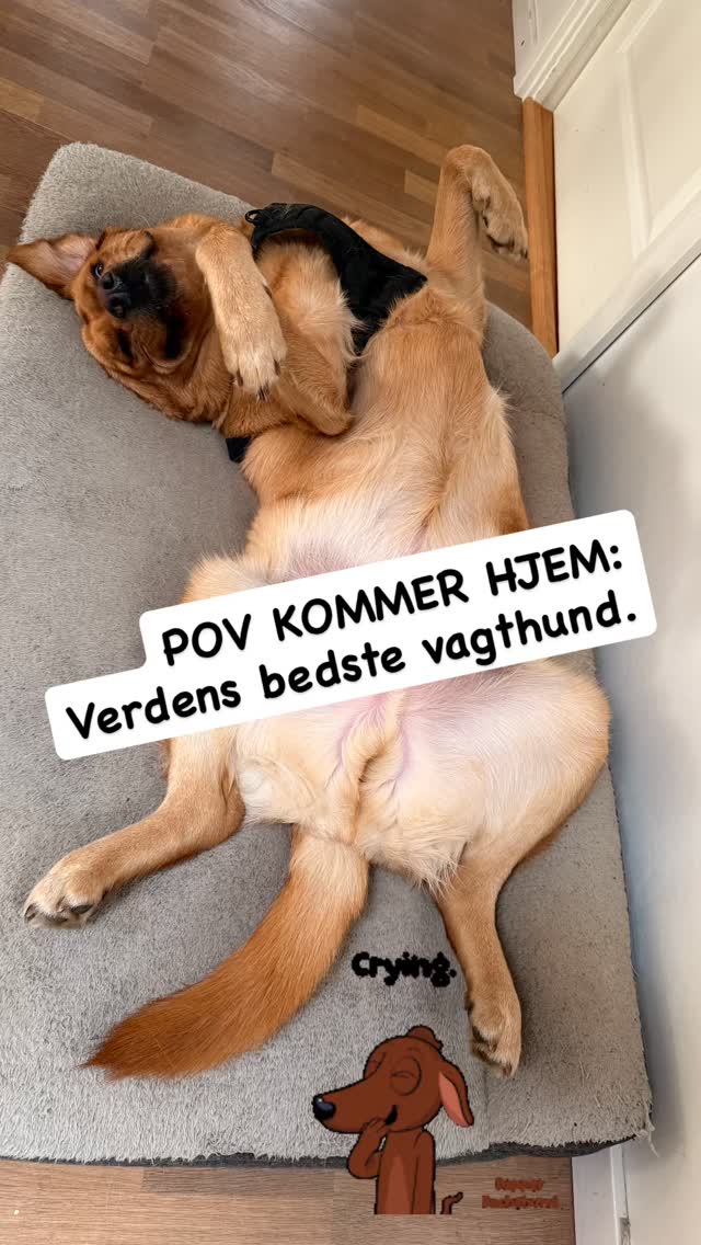 girafpingvin Video-Story