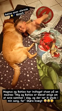 girafpingvin Image-Story