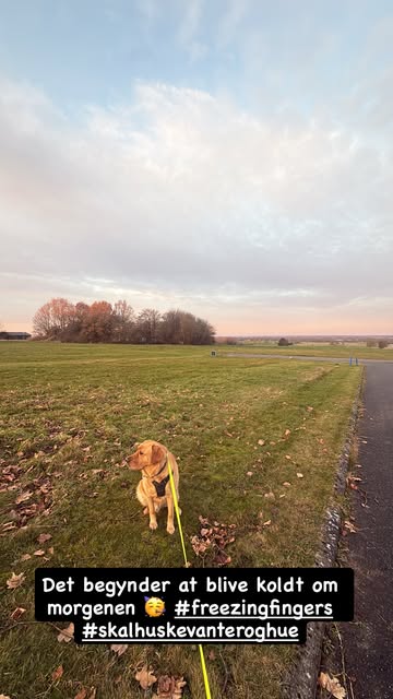 girafpingvin Image-Story