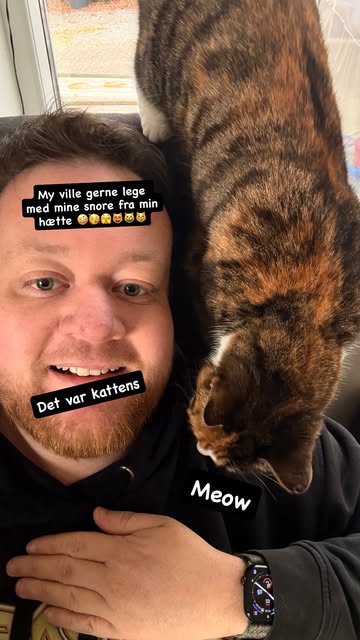 girafpingvin Image-Story