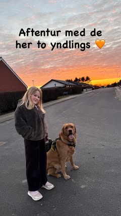 girafpingvin Image-Story