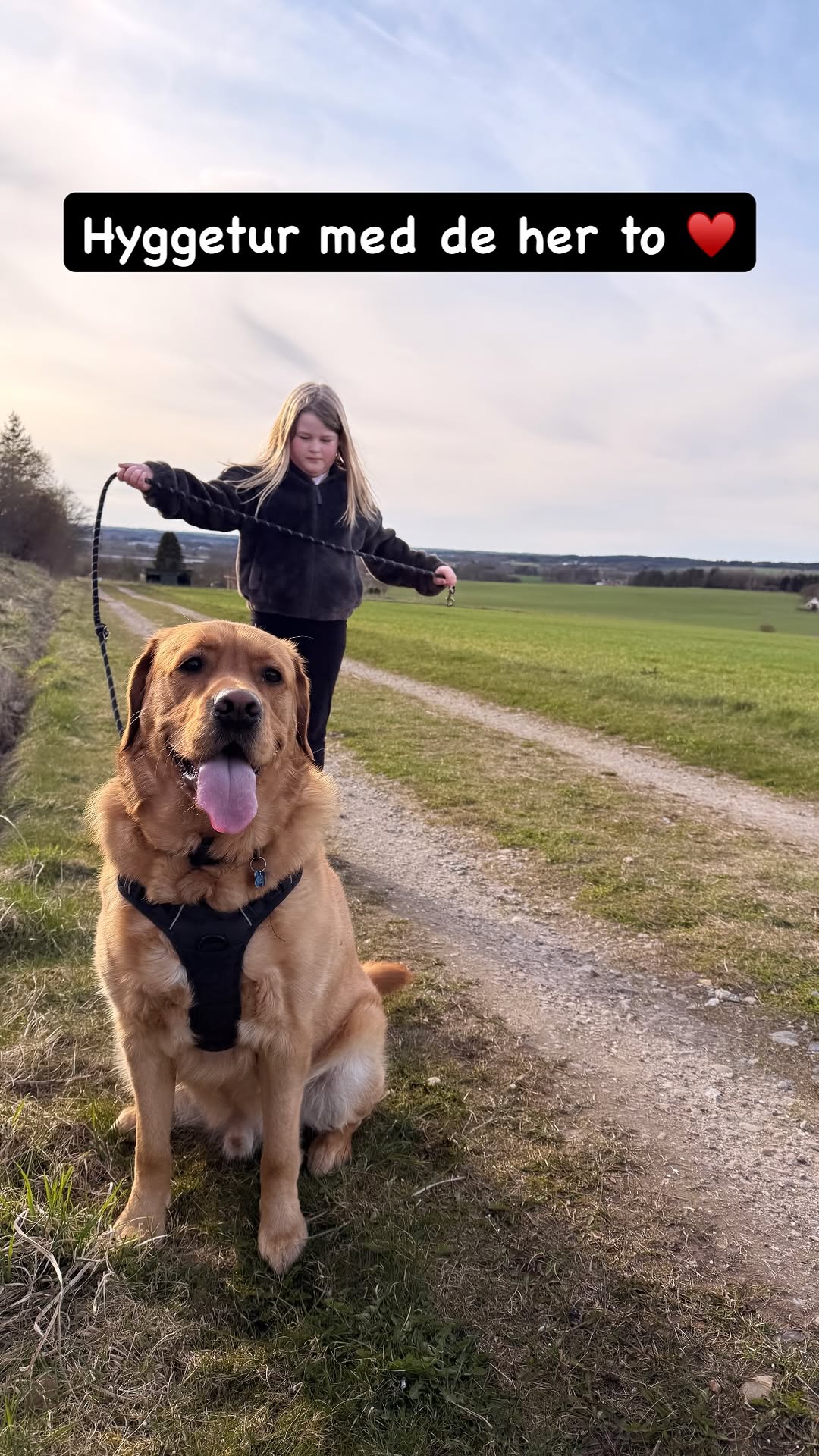 girafpingvin Video-Story