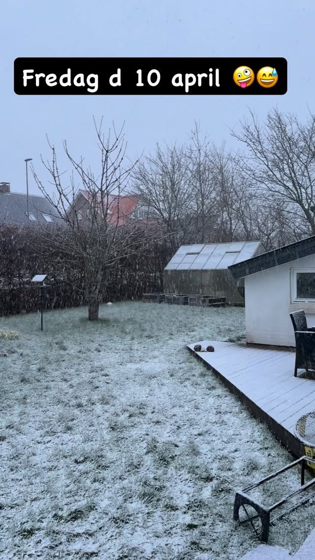 girafpingvin Video-Story